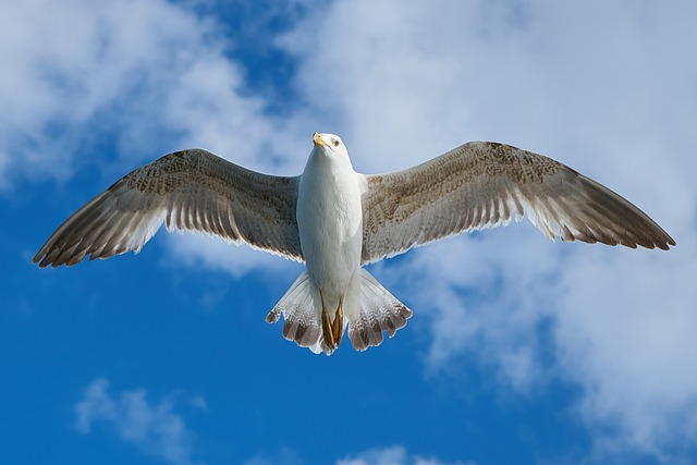 comment se sentir libre de toute convenance