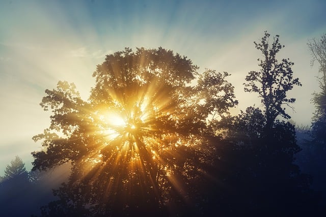 révélations faites par Dieu pour le monde