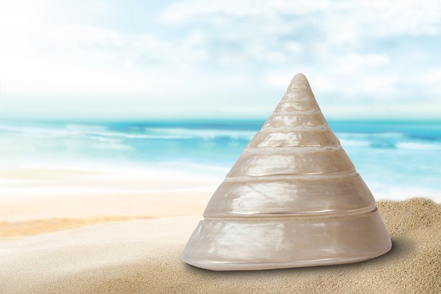 tarifs formation guerisseur à la mer