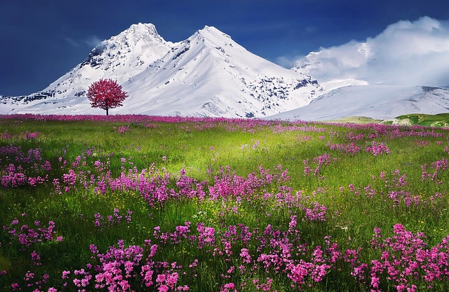 tarifs séjour bien-être à la montagne