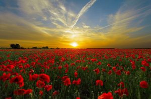 trouver son âme soeur amour pour la vie