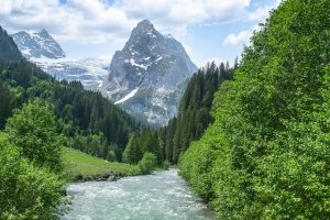chercher la synergie avec la nature