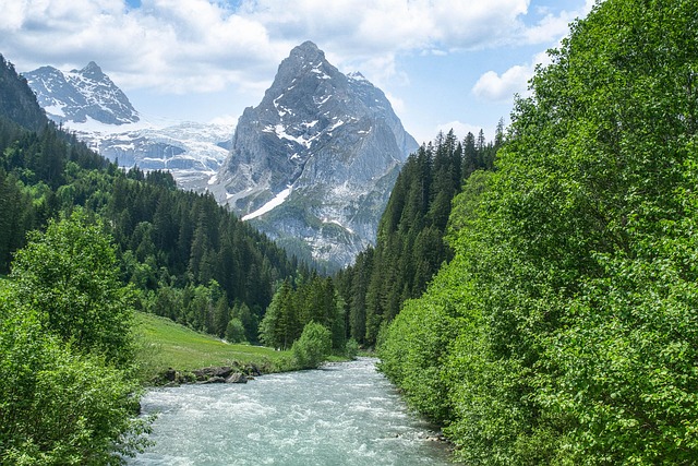 chercher la synergie avec la nature